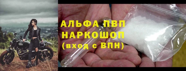 гашик Надым