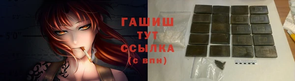 гашик Надым