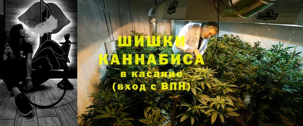 гашик Надым