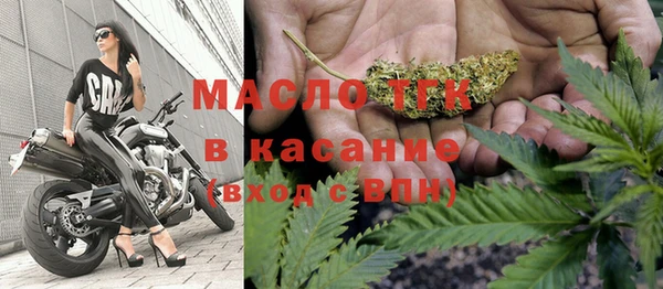 гашик Надым