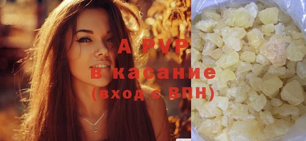 гашик Надым