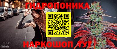 jwh Будённовск