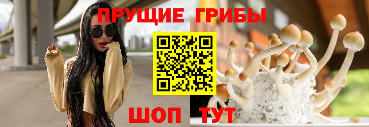 Псилоцибиновые грибы Cubensis Лыткарино