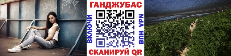 нарко площадка какой сайт  Лыткарино  Канабис сатива 